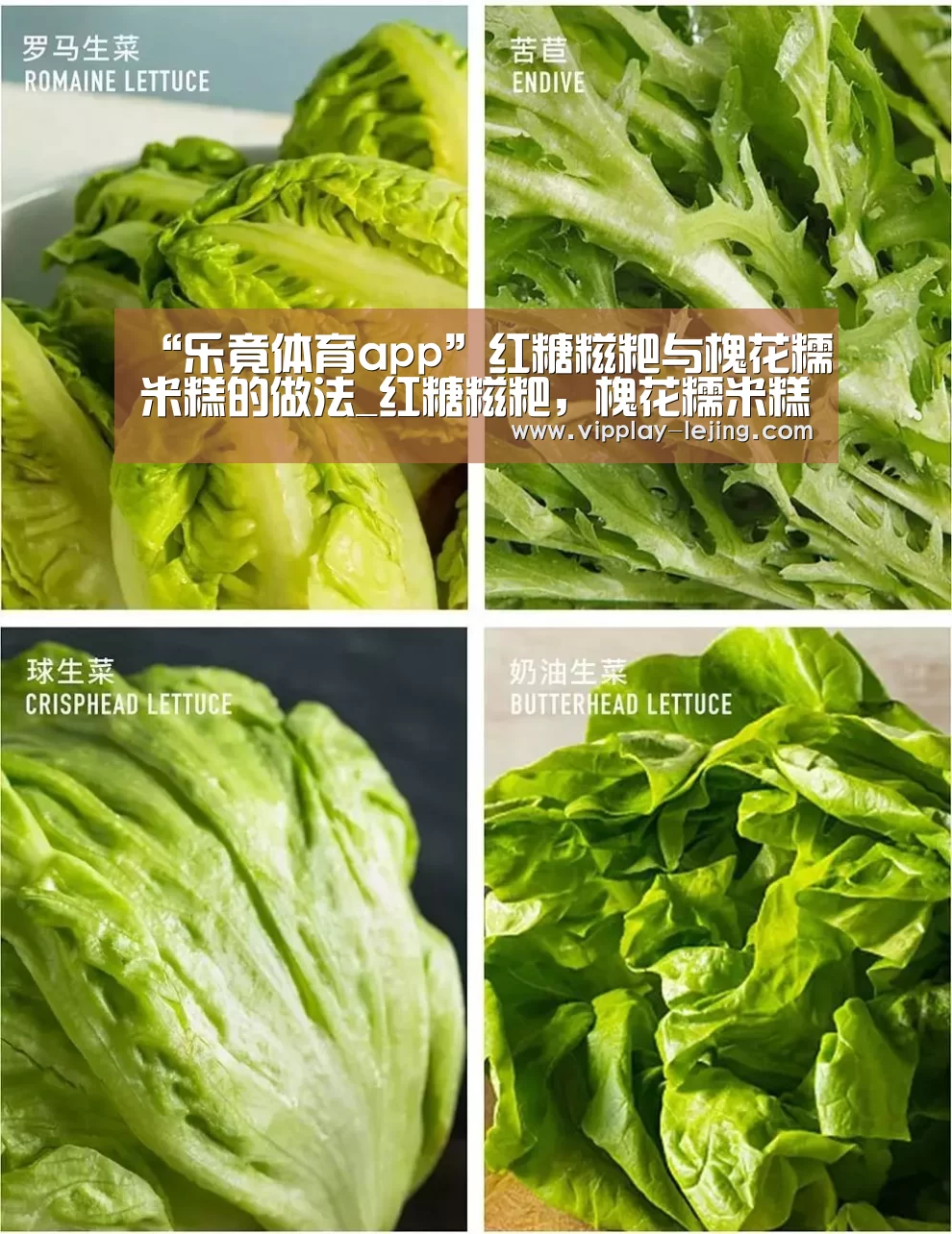 “乐竟体育app”红糖糍粑与槐花糯米糕的做法_红糖糍粑，槐花糯米糕_Anna_v