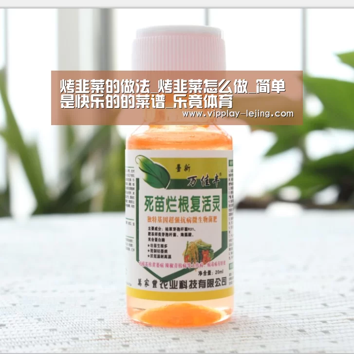乐竟
